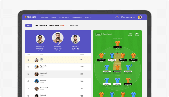 International Fantasy Cricket Leagues