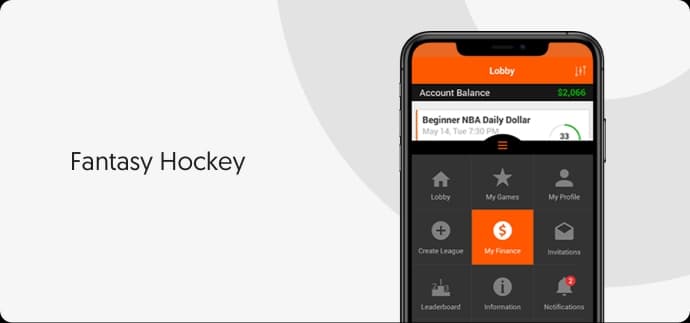Fantasy Ice Hockey