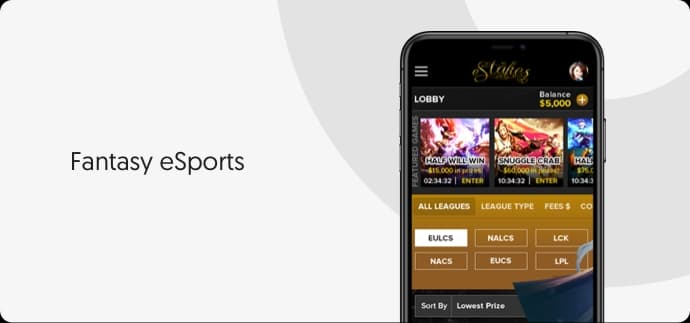 eSports Fantasy Leagues